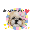 小太郎のあいさつ3❤︎"（個別スタンプ：7）