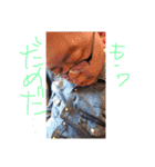 滝澤スタンプ第4段（個別スタンプ：7）