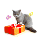 ねこで会話スタンプ（個別スタンプ：8）
