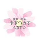シンプルかわいい丁寧語敬語スタンプ♡（個別スタンプ：37）