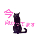 わたしのかわいい猫たち（個別スタンプ：2）
