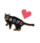 わたしのかわいい猫たち（個別スタンプ：5）
