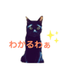 わたしのかわいい猫たち（個別スタンプ：11）