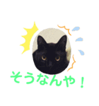 わたしのかわいい猫たち（個別スタンプ：14）