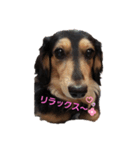 プリンさんの心のお天気モヨウ（個別スタンプ：3）