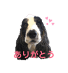 すてらとのえる1（個別スタンプ：3）