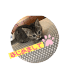 やしゃまるとJILL（個別スタンプ：5）