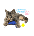やしゃまるとJILL（個別スタンプ：11）