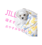 やしゃまるとJILL（個別スタンプ：15）