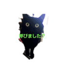 くま猫オス猫（個別スタンプ：2）