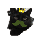 くま猫オス猫（個別スタンプ：5）