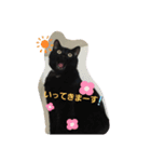 くま猫オス猫（個別スタンプ：6）