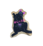 くま猫オス猫（個別スタンプ：8）