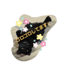 くま猫オス猫（個別スタンプ：12）