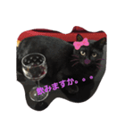 くま猫オス猫（個別スタンプ：13）