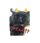 くま猫オス猫（個別スタンプ：14）