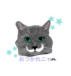 ヒゲ猫 スタンプ2（個別スタンプ：8）