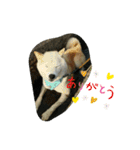 カイくんの日々②（個別スタンプ：9）