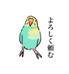 セキセイインコのぱなちゃん2（個別スタンプ：31）