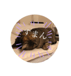 Bくん（個別スタンプ：1）