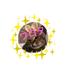 Bくん（個別スタンプ：3）