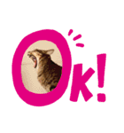 Bくん（個別スタンプ：10）