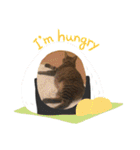 Bくん（個別スタンプ：11）