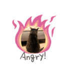 Bくん（個別スタンプ：14）