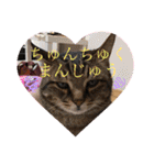 Bくん（個別スタンプ：22）