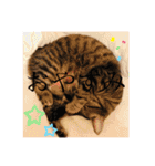 Bくん（個別スタンプ：23）