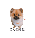 ェマニエル②（個別スタンプ：4）