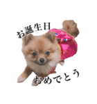 ェマニエル②（個別スタンプ：13）
