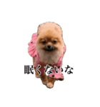 ェマニエル②（個別スタンプ：14）