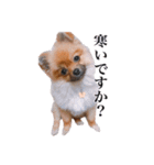 ェマニエル②（個別スタンプ：17）