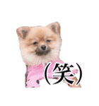 ェマニエル②（個別スタンプ：19）