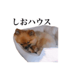 ェマニエル②（個別スタンプ：23）