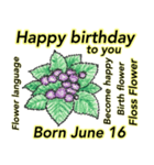 6月、誕生日ごとの誕生花と花言葉（個別スタンプ：16）