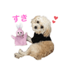 くりりん（くーちゃん）（個別スタンプ：1）