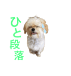 くりりん（くーちゃん）（個別スタンプ：8）