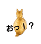 ねこモード（個別スタンプ：4）