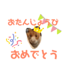 ハムさんだよ（個別スタンプ：11）