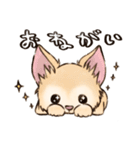 ちわたの日常（個別スタンプ：10）