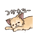 ちわたの日常（個別スタンプ：15）