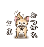 ちわたの日常（個別スタンプ：18）