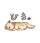 ちわたの日常（個別スタンプ：22）