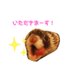 ちょこちまもなうい（個別スタンプ：5）