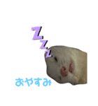 ちょこちまもなうい（個別スタンプ：6）