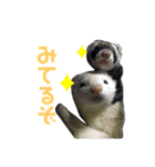 ちょこちまもなうい（個別スタンプ：8）