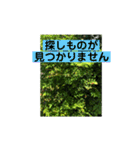 シニアのスタンプ（個別スタンプ：21）