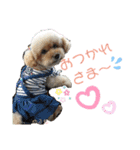 天使な「めるも」とお友達♪日常編（個別スタンプ：2）
